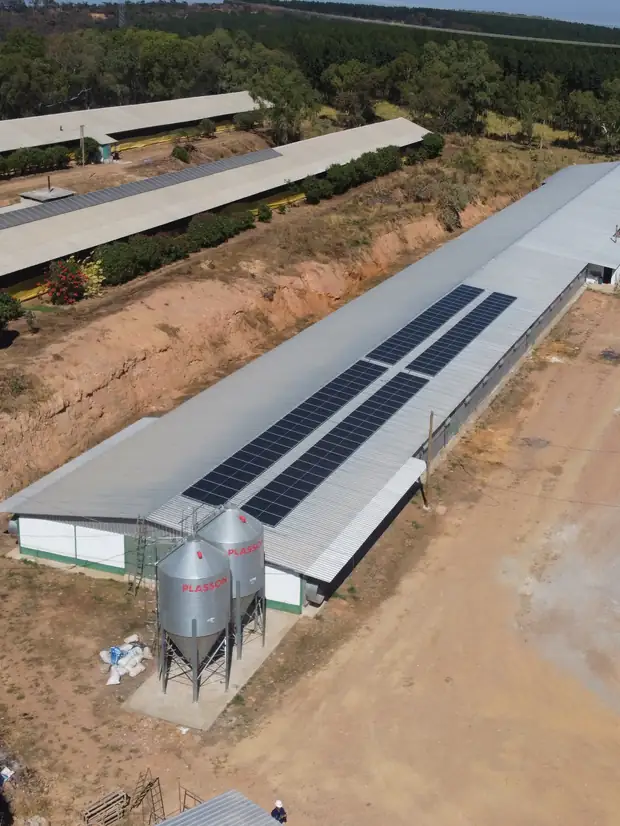 Aviários com painéis fotovoltaicos nos telhados, vista aérea
